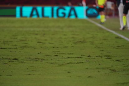 El terreno de juego terminó muy mal después del Almería-Real Oviedo del pasado sábado.