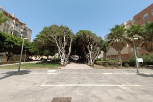 Vista del parque desde la plaza de las \'torres\' de Villa Pepita.