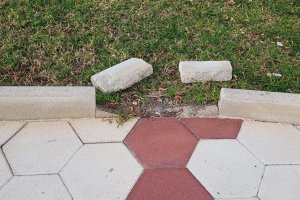 Durante la madrugada se han producido actos vandálicos en las inmediaciones del Parque de la Gamba Roja.