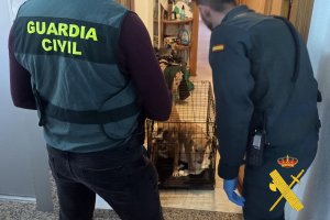 La Guardia Civil desarticula un criadero ilegal de mascotas en Roquetas de Mar.