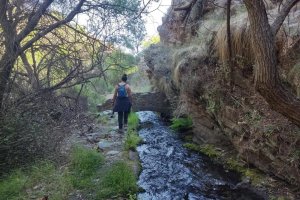 Una de las acequias recuperadas por Memolab con agua fluyendo.