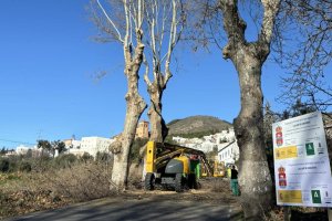 Trabajos de poda en una de las principales carreteras de la Alpujarra
