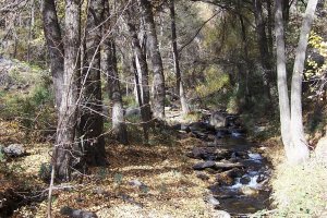 Sendero de la Hidroeléctrica, en Laujar de Andarax.