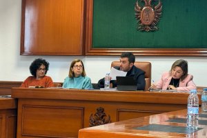 El alcalde y ediles durante el Pleno celebrado en Mojácar el 29 de enero.