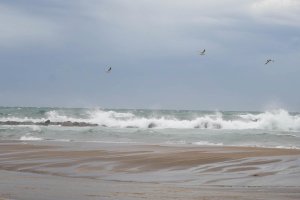 Marian León - Europa Press