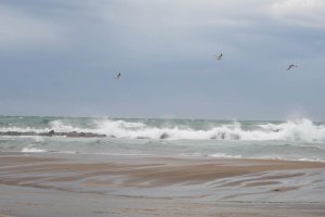 Marian León - Europa Press