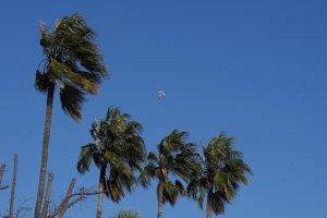 David Zorrakino - Europa Press