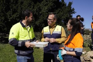 Inicio de la intensificación de la campaña contra los mosquitos