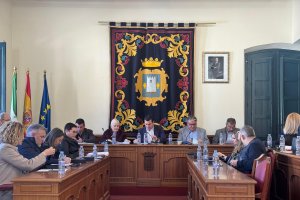 Imagen del pleno en el Ayuntamiento de Níjar.