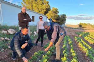 El subdelegado explica que el texto normativo constituye una respuesta integral del Gobierno de España ante una situación de emergencia