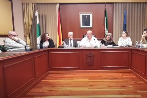 Pleno celebrado en Turre este martes donde se dio cuenta de la dimisión del alcalde Arturo Grima.