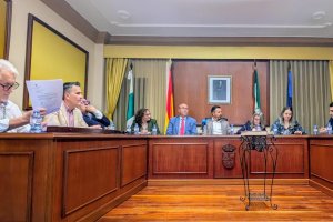 Pleno celebrado en Turre para la investidura del nuevo alcalde.