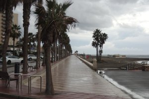 El Paseo Marítimo de Almería totalmente vacío en una mañana de lluvia.