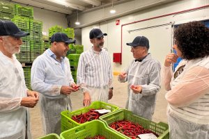 Fernández-Pacheco visita la cooperativa Cabasc en Balanegra (Almería)