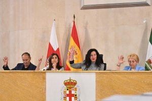 Imagen del Pleno en el Ayuntamiento de Almería.
