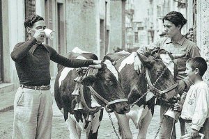 La calle Marco o de las posadas en el verano de 1936. El lechero ambulante, con su hijo y dos vacas, servía la leche recién ordeñada a los clientes.