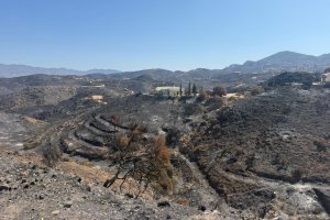 Vista de una de las zonas calcinadas en Bédar.