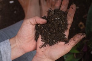 Trabajar contra el deterioro progresivo de la calidad de los suelos agrícolas y la necesidad de reducir la dependencia de los fertilizantes químicos