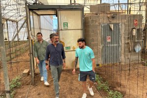 Visita del consejero Fernández-Pacheco a la explotación agraria de uno de los beneficiarios, en Níjar.