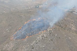 Incendio forestal declarado este domingo en Las Negras.