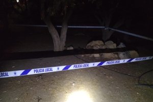 Zona acordonada en el parque en el que fue hallado el cadáver de un perro enterrado.