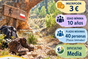 Cartel que anuncia la actividad