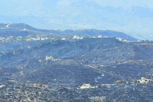 Terrenos calcinados por el incendio de Bédar y Los Gallardos