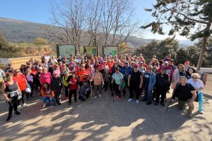 Foto de grupo de los participantes en la cita de la Olimpiada de Mayores.