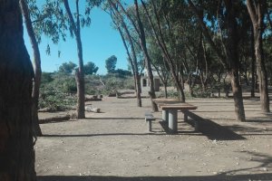 Merendero tras la tala en la parcela anexa.