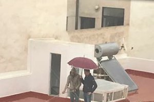 Saecios bajo la lluvia.