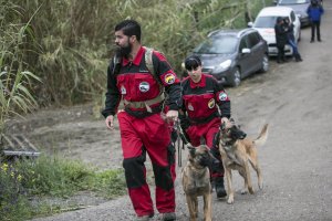 La unidad canina participa en la búsqueda de Gabriel.