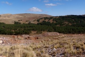 Imagen  de la Sierra de Gádor tomada muy cerca al Pozo Lupión. Foto: Jose Miguel Sola