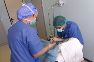 Intervención a un paciente en el área de Oftalomolgía del Hospital de Poniente.