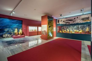 Las salas del Museo Arqueológico acogen un gran número de actividades durante este mes de marzo.