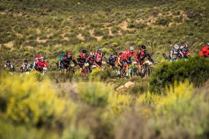 Un marco incomparable.