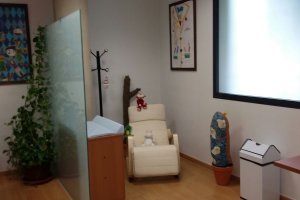 Imagen del lactario.