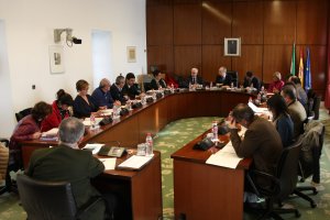 Reunión de la Diputación Permanente.