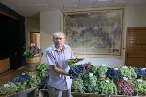 Antonio Rubio en una exposición de las uvas de Almería