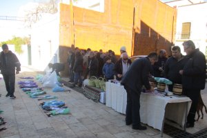 Momento de la recogida de las 17 variedades de parras históricas de Almería en la plaza de Terque.
