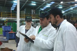 Técnicos supervisando el estado de productos ecológicos en una planta de almacenaje hortofrutícola.