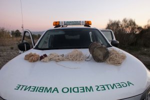 Imagen de los objetos decomisados y un hurón.