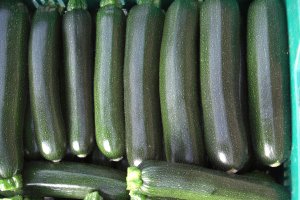 La escasez de calabacín en Europa está provocando unas cotizaciones históricas en las pizarras de la provincia.