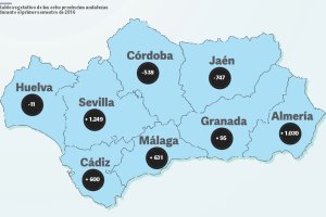 Saldo vegetativo de las ocho provincias andaluzas durante el primer semestre de 2016.