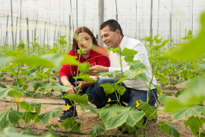 A. La Unión se consolida como uno de los gigantes de la venta de frutas y hortalizas al exterior de la zona de Almería y Granada.