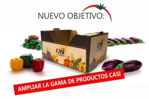 CASI se propone introducirse en el segmento del pimiento y la berenjena para colmar las exigencias de sus clientes.