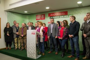 Alcaldes y conejales del PSOE de las comarcas Almanzora, Levante y Los Vélez, en la rueda de prensa de ayer.