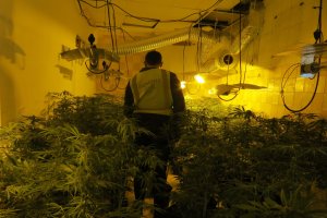 Un agente, en el interior de la vivienda llena de maría.