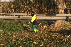 Limpieza de los márgenes de la nacional 340