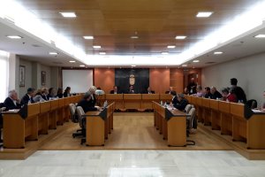 Imagen del Pleno celebrado el pasado martes en el ayuntamiento de El Ejido.