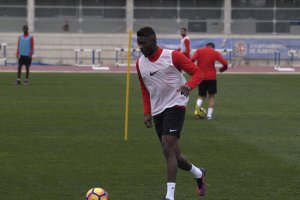 Yoda en su primer entrenamiento.